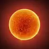 SUNLIGHT - @sunlight_revelation - TikTok