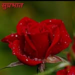 Sundeep Sharma - @sundeep_sharma5309 - Instagram