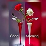 sunder patel - @sunder.patel - Instagram
