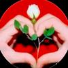 sundus Mohamed - @sundus.mohamed77 - TikTok