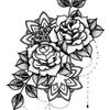 Sundus Mohamed - @sundus.mohamed17 - TikTok
