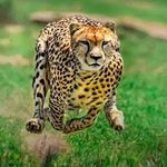 Sundus Mohamed - @sundus.mohamed.1257604 - Instagram