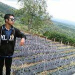 @sundy_hermawan - Instagram