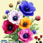 Suneet Kaur - Facebook
