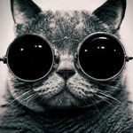 Sung-Chi Chiang - @sungchichiang - Instagram