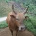 Sung Hoang - Facebook
