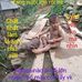 Sung Son - Facebook