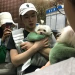👫+🐶🐶+🍔🍕🍗🍜🍝🍣🍧🍟🍫🍰🍅🍉🍈🍒🍘🍚🍤🍣🍱🍻 - @sung____yoon - Instagram