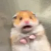 sungyoon - @s.ungyoon - TikTok