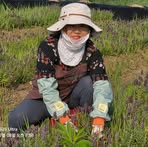 Sunghee Shin - Facebook