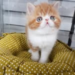 SungHyun lee - @min67200 - Instagram