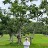 SUNGMAN KIM - @sungman.kim4 - TikTok