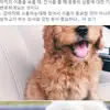 Sung min Choi - @sung.min.choi - TikTok