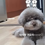 윤선희 - @sun.hee.yoon - Instagram