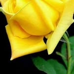 Sunil Jacob - @sunil.jacob.182 - Instagram