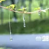 sunitha jacob - @sunitha.jacob - TikTok