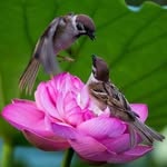 Sunil Banerjee - @amitava761 - Instagram