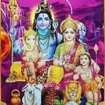 sunil behl - @sunil_behl_ - Instagram