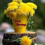 Sunil Behl - @sunil.behl.737 - Instagram