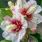 Sunil Bhaskaran - @bhaskaran8569 - Instagram