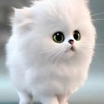 Sunil Bhaskaran - @sunilbhaskaran322 - Instagram