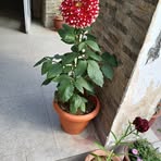 Sunil Dhar - Facebook