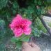 Sunil Dutt - Facebook