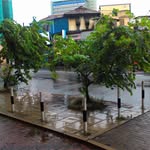 j a sunil jayasinghe - @jasunil - Instagram