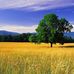 Sunil Krishnan - Facebook