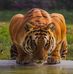 Sunil nath  - Facebook