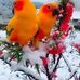 Sunil Rajput - Facebook