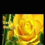 Sunil Silva - @sunilsilva2 - Instagram
