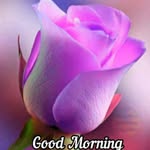 sunita thomas - @sunitathomas60 - Instagram