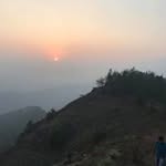 Sunitha Abraham - @abraham.sunitha - Instagram