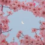 Sunjin Kim - @sunjinkim1976 - Instagram