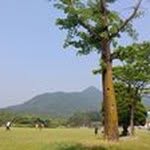 Sunkyu Kim - @sunkyu.kim.148 - Instagram
