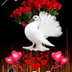 Sony Thomas - Facebook