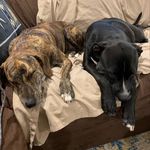 Belle & Sunnie - @belle_sunnie - Instagram