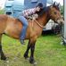 Sunnie Bell - Facebook
