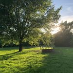 SunnieBelle Farm - @sunniebelle_farm - Instagram