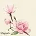 Caca - @sunny_bloom._ - TikTok