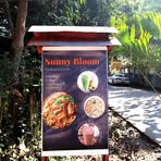 Sunny Bloom - Facebook