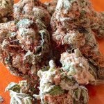 Stoner Couple - @sunshinestoners420 - Instagram