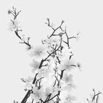 Sunshine Stone - Facebook