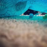 Sunyang Fu - @jasonzuck_ - Instagram