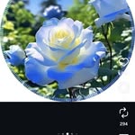 Suraj Parkash - @surajparkash8492 - Instagram