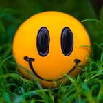 Surinder Dhanda - @surinder.dhanda.562 - Instagram