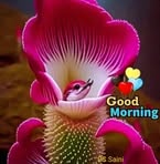 Surinder Nagpal - Facebook