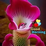 Surinder Nagpal - @surindernagpal70 - Instagram