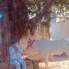 Surinder Singh Sidhu - @surinder.sidhuu - TikTok